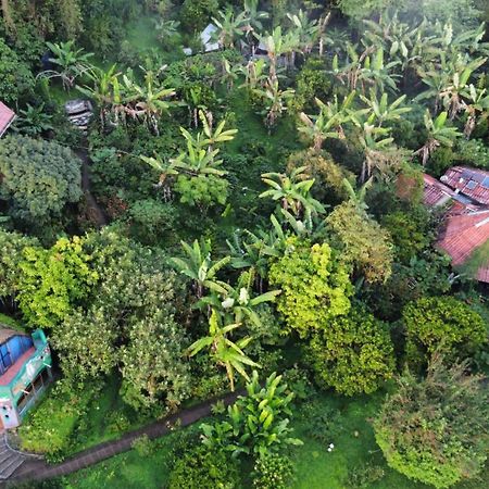 Finca Neblina Del Bosque Estelí Kültér fotó
