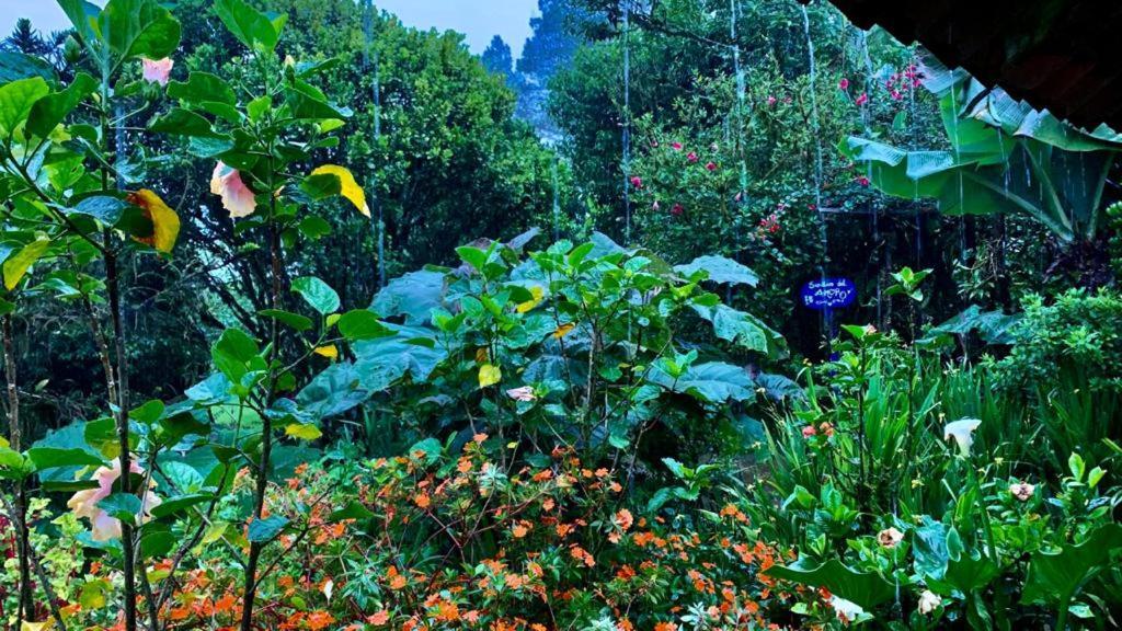 Finca Neblina Del Bosque Estelí Kültér fotó