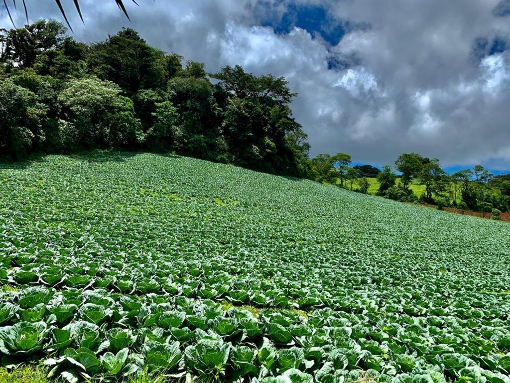Finca Neblina Del Bosque Estelí Kültér fotó