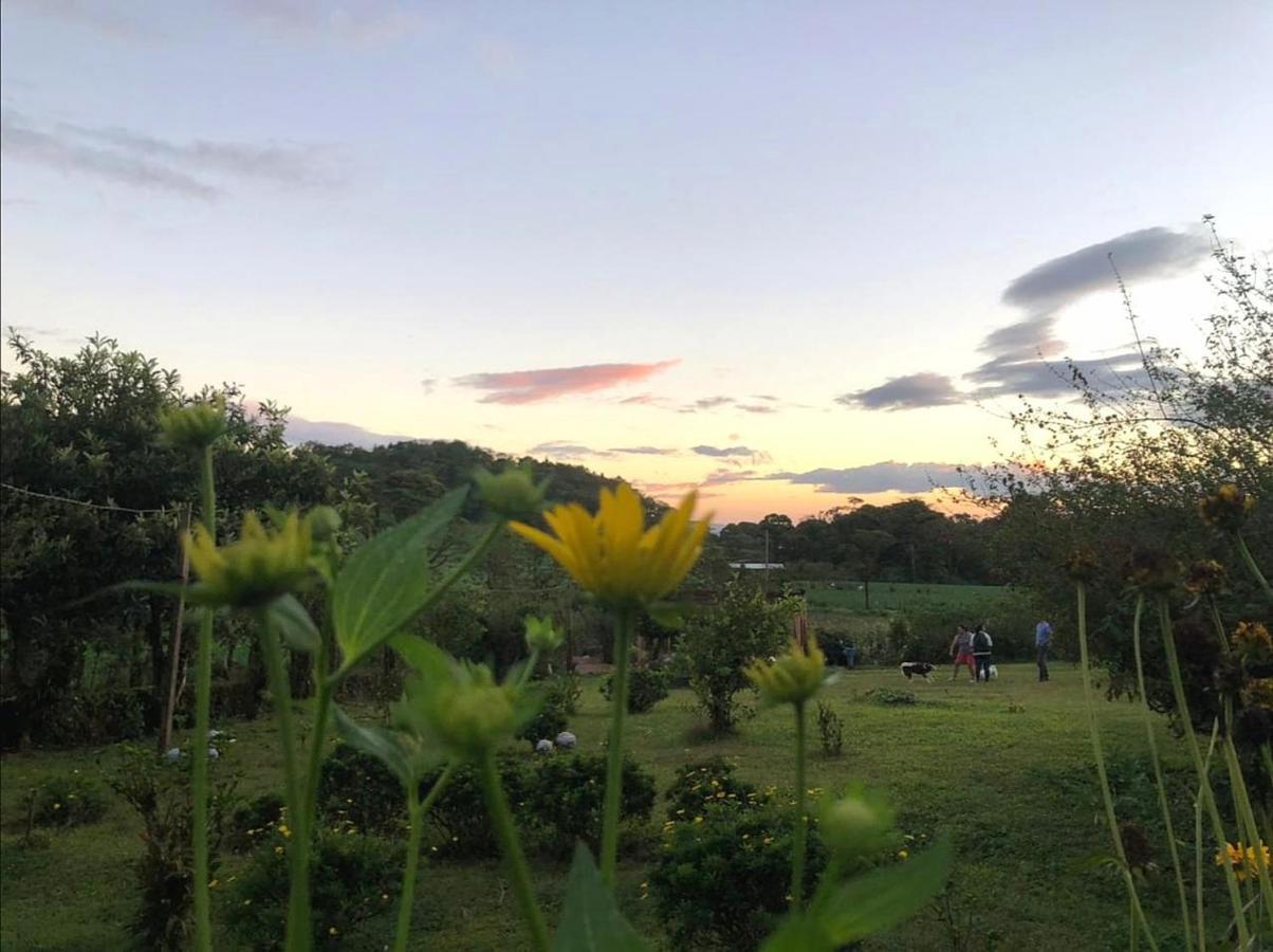 Finca Neblina Del Bosque Estelí Kültér fotó