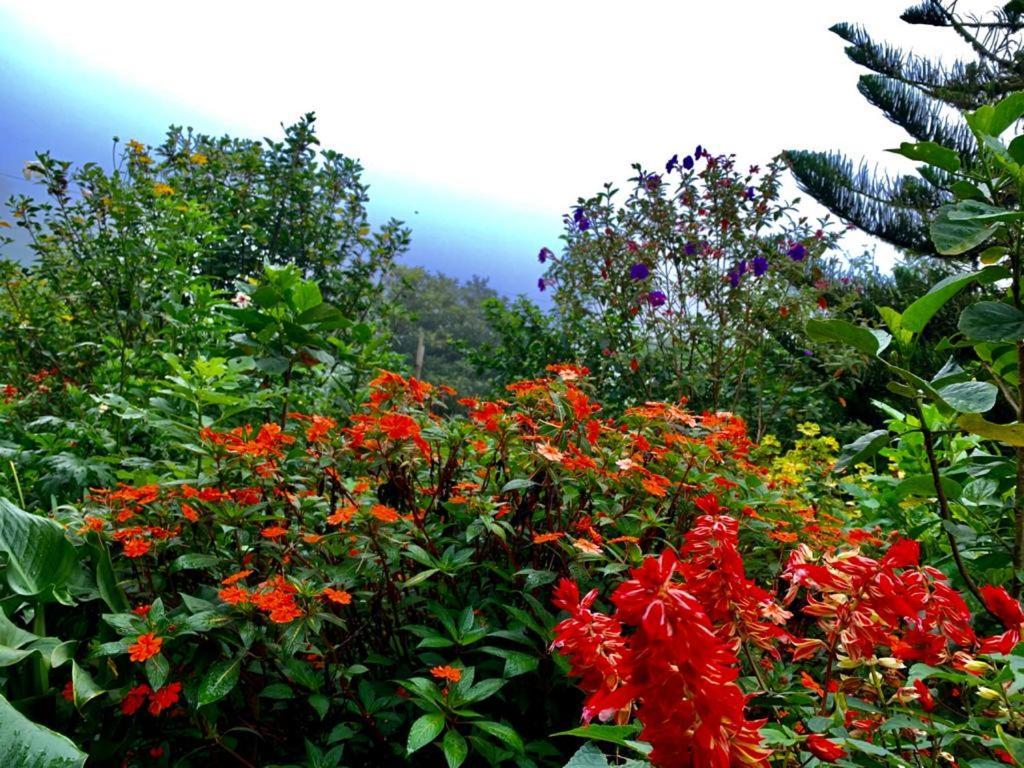 Finca Neblina Del Bosque Estelí Kültér fotó