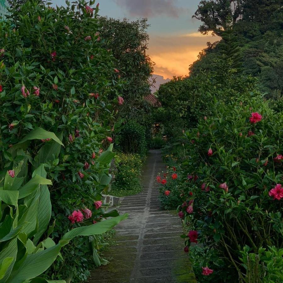 Finca Neblina Del Bosque Estelí Kültér fotó