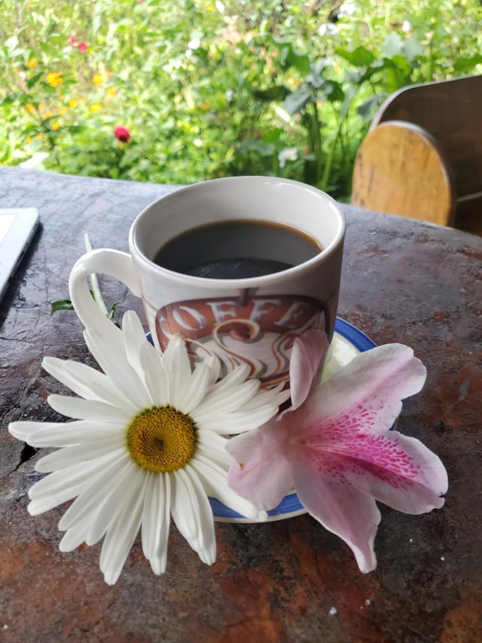Finca Neblina Del Bosque Estelí Kültér fotó