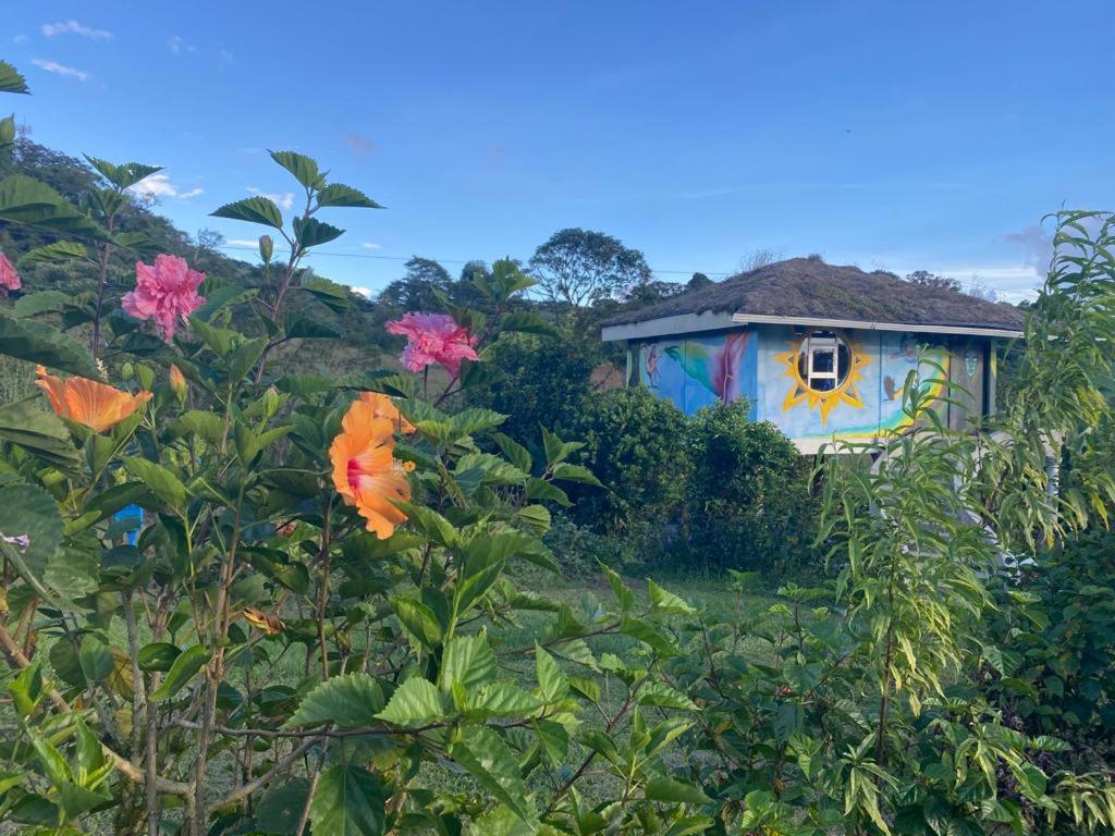 Finca Neblina Del Bosque Estelí Kültér fotó