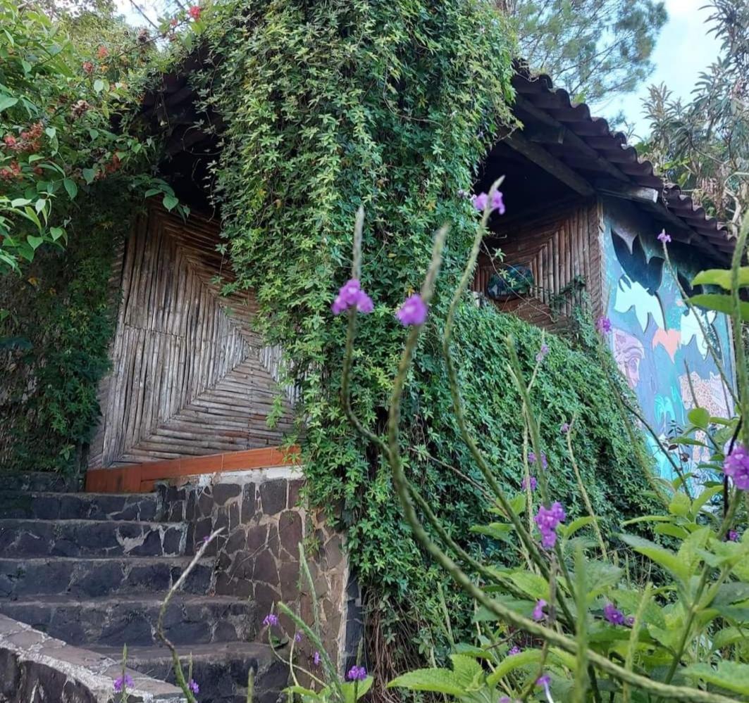 Finca Neblina Del Bosque Estelí Kültér fotó