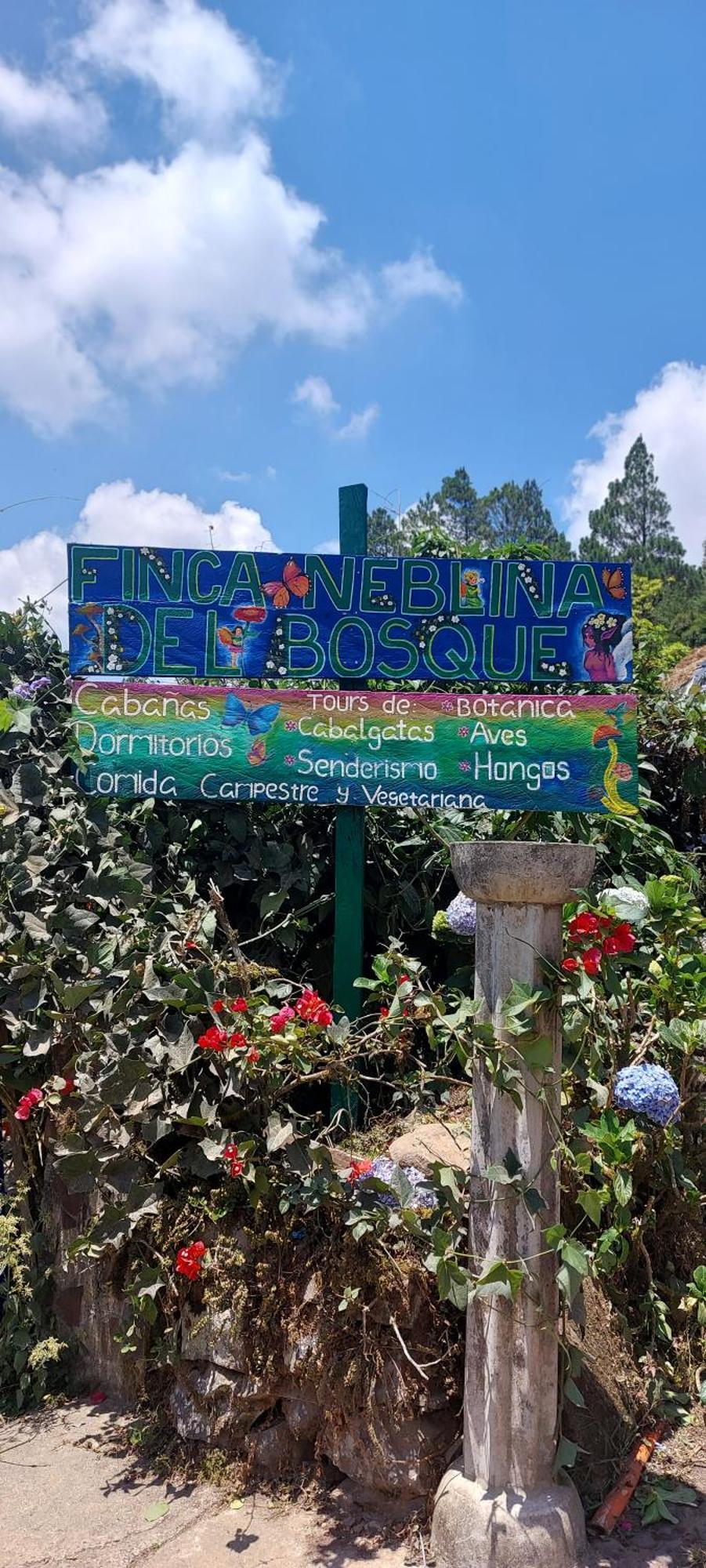 Finca Neblina Del Bosque Estelí Kültér fotó